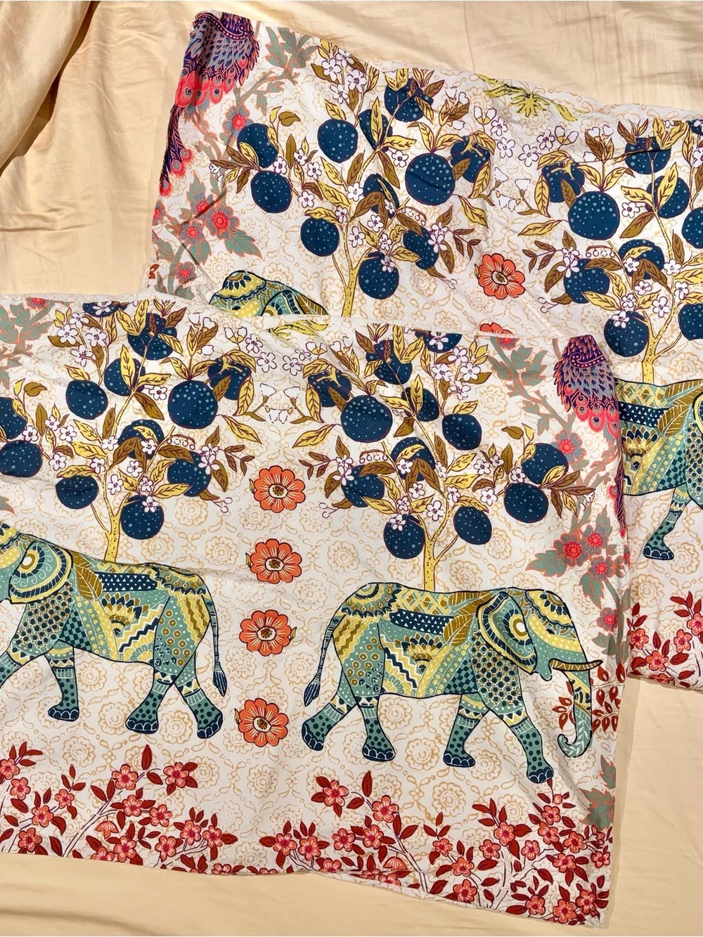 Anthropologie desert garden standard shams, set of 2
